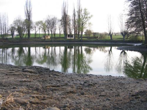 2012 Vypouštění a výlov rybníka